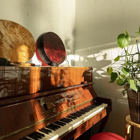 Lapland Aurora By Booklapland