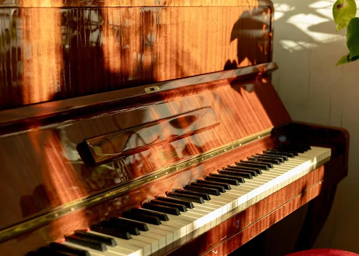 Lapland Aurora By Booklapland